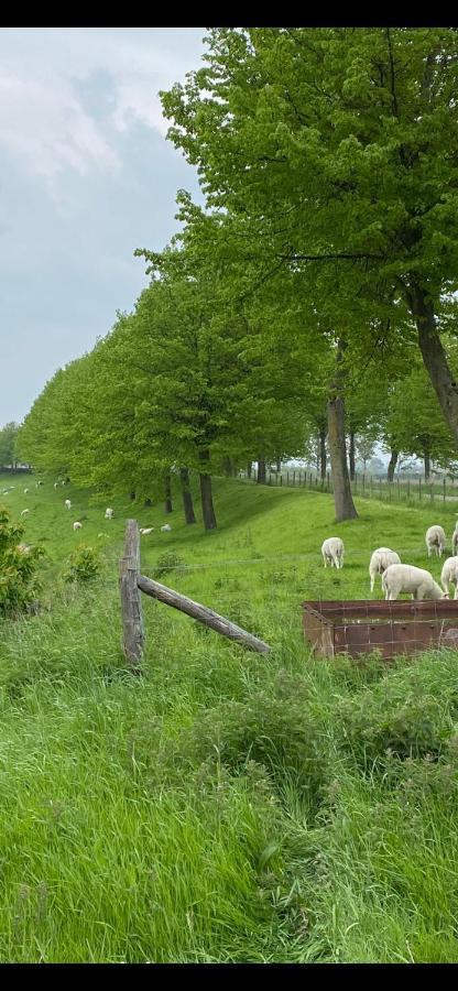 Bungalow Scheldezicht In Zeeland Dicht Bij Zee Scherpenisse Esterno foto