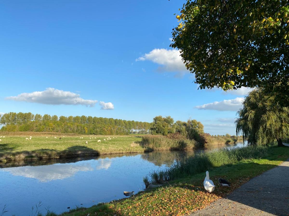 Bungalow Scheldezicht In Zeeland Dicht Bij Zee Scherpenisse Esterno foto